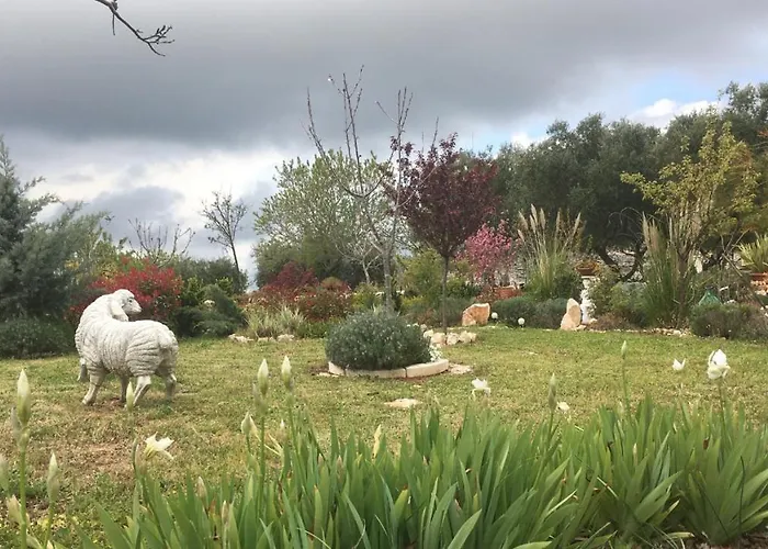 16 Trulli E Giardini